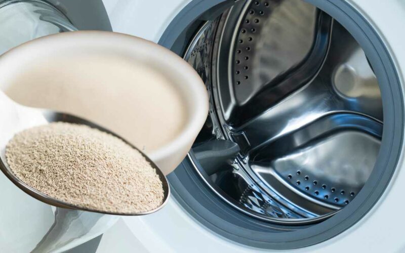 Por que algumas pessoas usam FERMENTO na máquina de lavar?