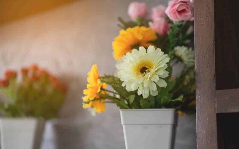 Faça suas flores durarem muito mais tempo em seus vasos!