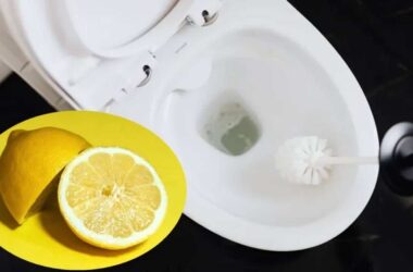 Método poderoso e barato com limão para limpar o vaso sanitário e deixá-lo branquinho