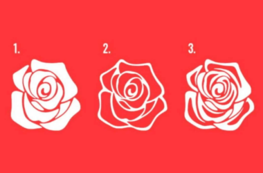 Super Teste: escolhendo 1 das rosas e saiba qual caminho sua vida tomará até final de 2024