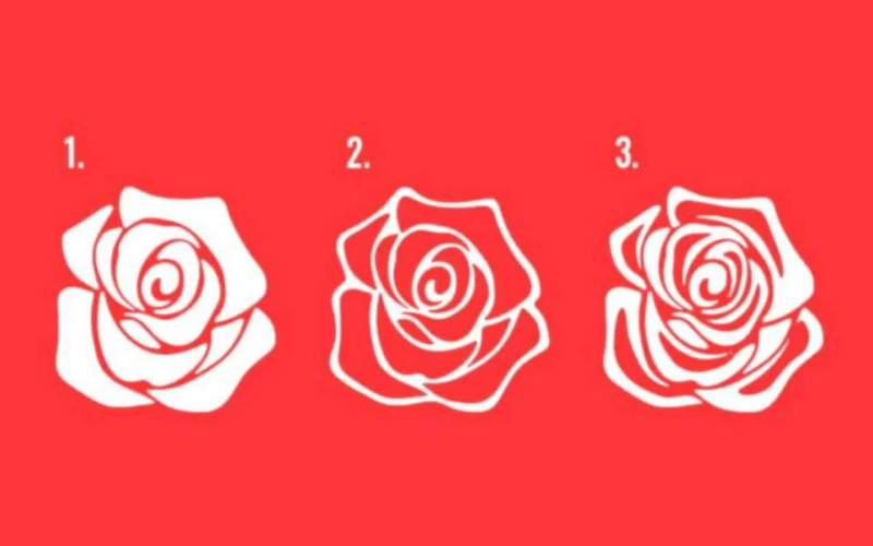 Super Teste: escolhendo 1 das rosas e saiba qual caminho sua vida tomará até final de 2024
