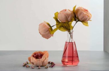 Como recuperar rosas desidratadas com apenas 1 ingrediente?