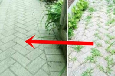 Misturinha infalível para acabar com as ervas daninhas da calçada ou quintal!