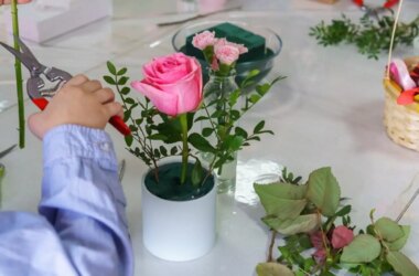 Rosas em vasos: um guia rápido para cultivar e embelezar suas varandas e terraços