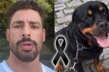 ‘Nunca pensei que seria tão triste’: Cauã Reymond posta vídeo após morte por envenenamento de seu cão