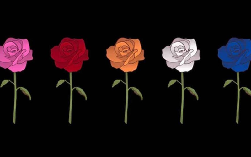 Teste: escolha uma rosa gosta para conhecer seu lado mais oculto
